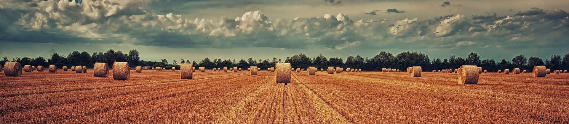 Agrarboerse.eu - Der Marktplatz für Landwirtschaft