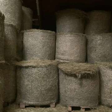 Heuballen – 1. Schnitt, ideal für Pferde – Bioland zertifiziert