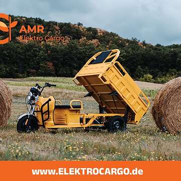 AMR Elektro Cargo 250 - www.ELEKTROCARGO.de - Piaggio Ape Änlich Elektro Dreirad Elektrisches Lastendreirad Mofa Kipper Pritsche TUK TUK Cargo Transporter