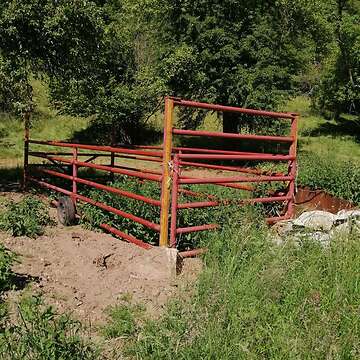 Viehtreibwagen, Treibwagen