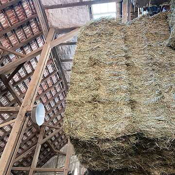 240er quaderballen Heu 