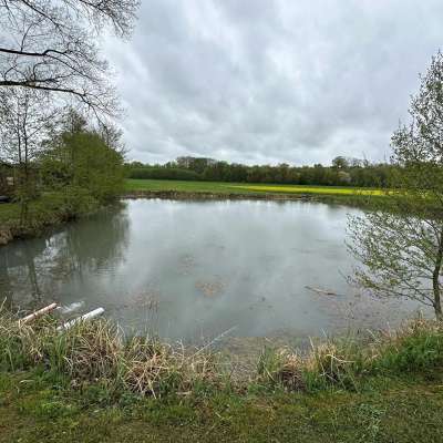 🐟🌾 Landwirtschaftliche Fläche in Straßgiech bei Scheßlitz zu verkaufen – ideal für Landwirte, Fischzüchter & Visionäre (VB)