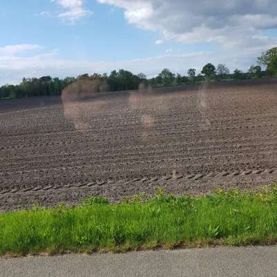 Suche Acker-Grünland im gesamten Raum Ostfriesland zu kaufen