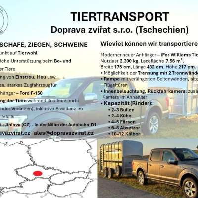 Tiertransport nach/aus Tschechien