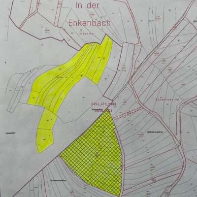 Versteigerung Weideland Pferdekoppel Agrarfläche 54.844 m2, Donnersbergkreis