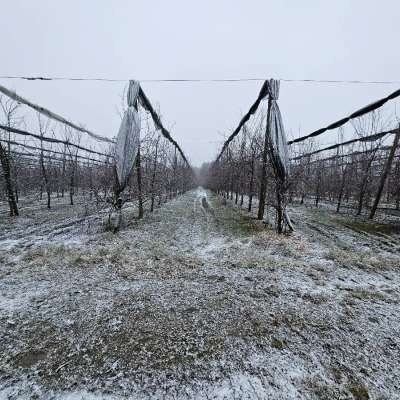 Biete Hagelnetze für den Obstbau und diverse Teile für den Regen- und Hagelschu