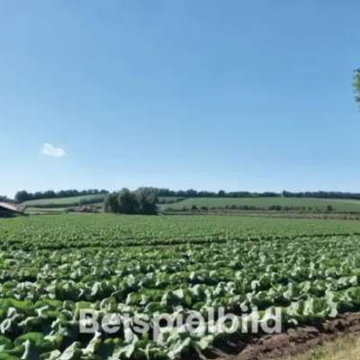 Ca. 2,6 ha Ackerfläche in Klein Thurow zu verkaufen - Objektnr. 29317