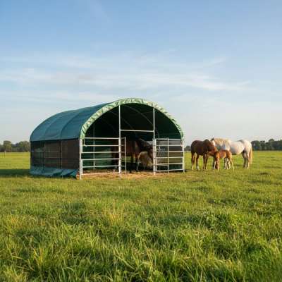 Weidezelt | 6m x 6m x 3,7m - PVC 750 g/m², dunkelgrün ! Neu !