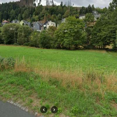 Grünland in Neuhaus am Rennweg (Ortsteil Lichte) zu verkaufen