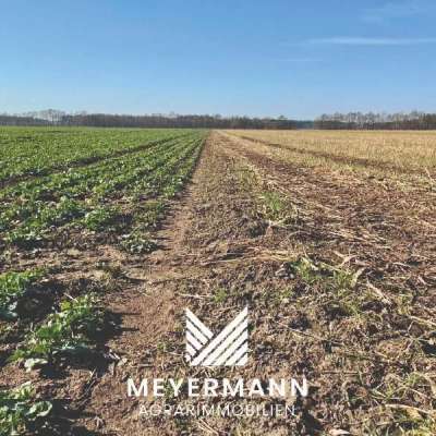 Ackerfläche gesucht - ca. 3-5 ha - Raum Esterwegen / Neubörger