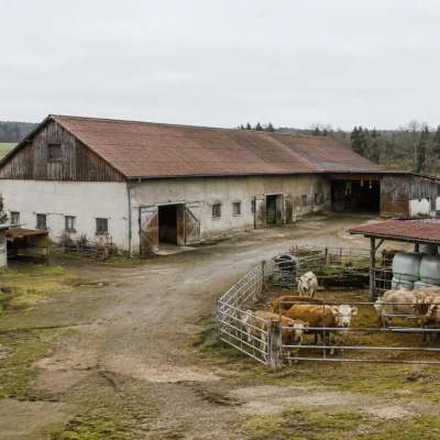 Stall oder landwirtschaftliche Hofstelle gesucht