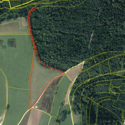 Landwirtschaftliche Fläche zu verkaufen / Wiese mit Wald