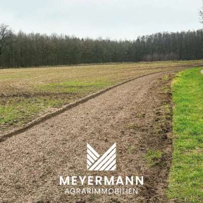 ca. 4,2 ha Ackerland in Wenstrup zu verkaufen