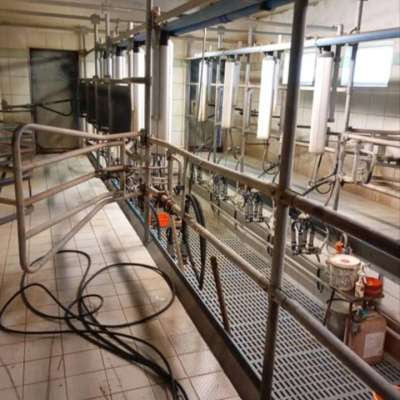 DeLaval Melkstand in Doppel 4 Fischgrät-Bauweise