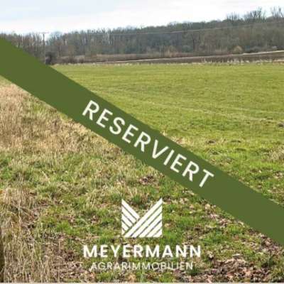 ca. 2 ha Grünland in Niederbauer zu verkaufen-RESERVIERT