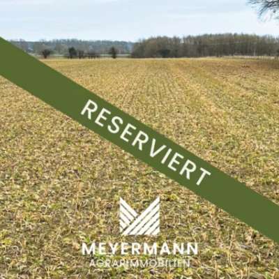 ca. 6 ha Ackerland in Lippetal zu verkaufen-RESERVIERT