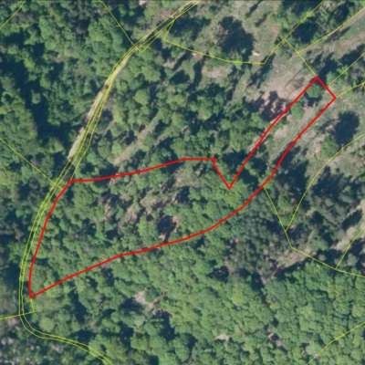 Waldgrundstück im idyllischen Werntal – 9.160 m² Mischwald