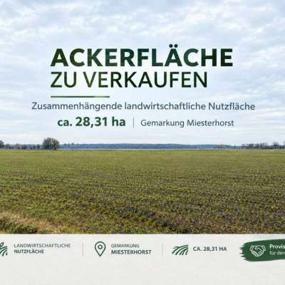 28,3 ha landwirtschaftliche Nutzfläche / Acker Miesterhorst, Sachsen-Anhalt