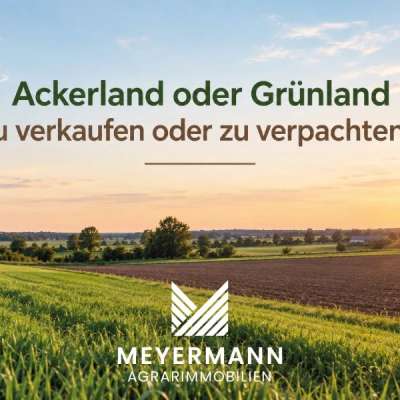 Ackerland oder Grünland zu verkaufen oder zu verpachten ?