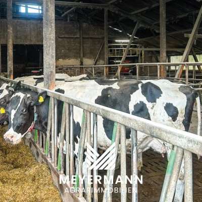 Modernisierter Milchviehbetrieb in Sachsen-Anhalt zu verkaufen