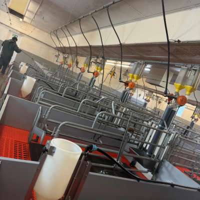 Stallreinigung