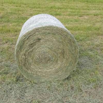 Heurundballen Heu Rundballen Heuballen Pferdeheu Schafe Rinder