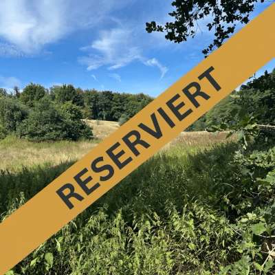 Ein Paradies für Pferdehalter - ca. 2 ha Wiese mit Bachlauf und Baumbestand in Neustadt - Mengsberg