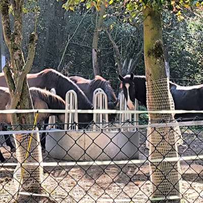 Heurollen / dauerhafter Heulieferant gesucht!