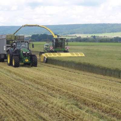 Direktschneidwerk Zürn Profi Cut 620 Schneidwerk Silphie-Kit