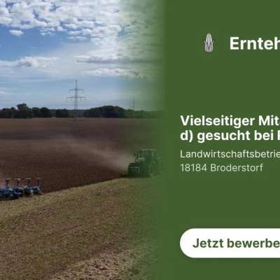 Vielseitiger Mitarbeiter (m/w/d) gesucht bei Rostock