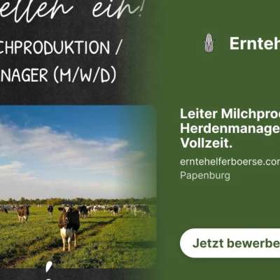 Leiter Milchproduktion / Herdenmanager (m/w/d) in Vollzeit.