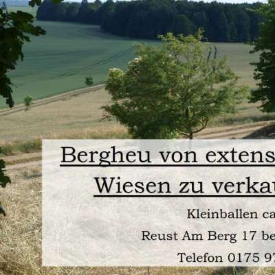 Heu Kleinballen