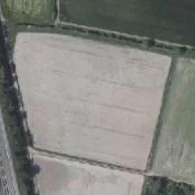 Ackerfläche in Büttelborn (Klein-Gerau) zu verkaufen / 25.064qm