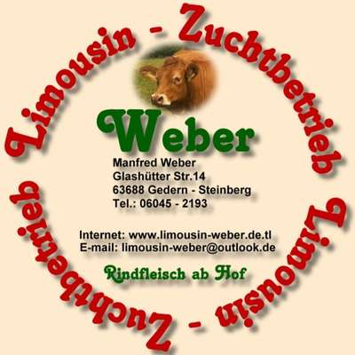 genetisch Hornlose Bio Limousin Herdbuch Bullen