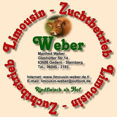 genetisch hornloser Bio Limousin HB Deckbulle