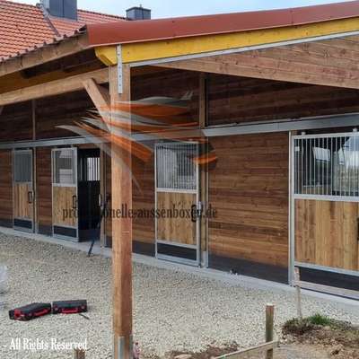 Pferdestall bauen & Außenbox und Offenstall für den perfekten Pferdehof