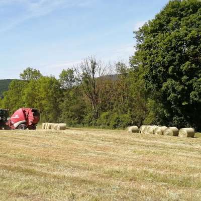Heurundballen 1. Schnitt