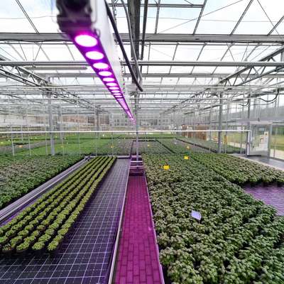 Philips GreenPower LED top light Module DR/B HB 400v