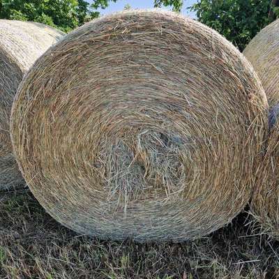 Heu, Rundballen, Quaderballen, HD-Ballen ("Kleine Ballen")