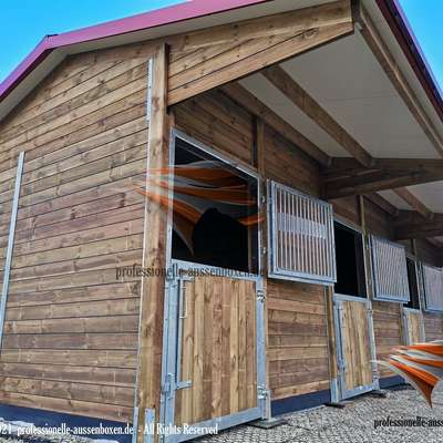Pferdestall bauen - Außenboxen, Offenstall & Weidehütte für die Pferdehaltung