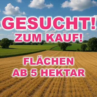 Kaufe Flächen ab ca. 5 Hektar in Niedersachsen – direkter Ankauf für Solarprojekt