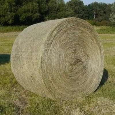 Heu und Anwelksilage Rundballen scheunengelagert zu verkaufen