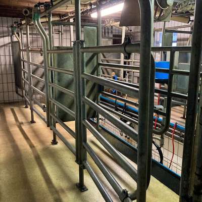5 Boxen Tandemmelkstand Alfa Laval