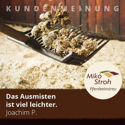 Entstaubte Pferdeeinstreu