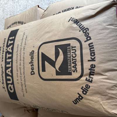 6,6dt (660kg) Wintertriticale - Triticale - Lombardo