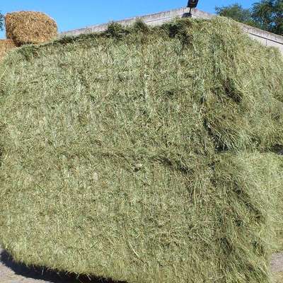 WIESENHEU und GRAS Pellets in bester Qualität mit Lieferung!