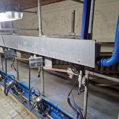 Doppel 4er Fischgräten Melkstand 