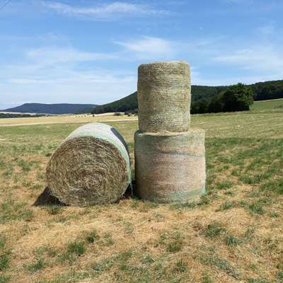 Heuballen in bester Pferdequalität