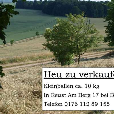 Heu Kleinballen 