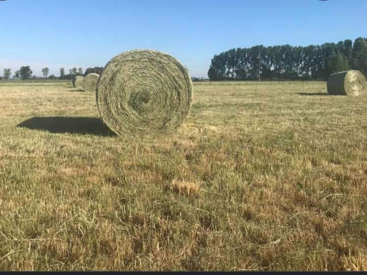 Heu Rundballen&HD Ballen
